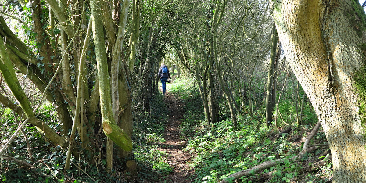 Hodeng Hodenger (Chemin)