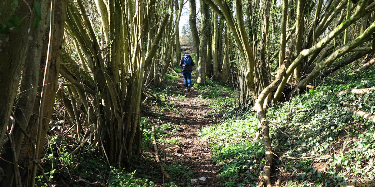 Beauvoir en Lyons (Chemin)