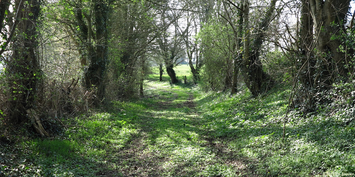Brémontier Merval (Chemin)