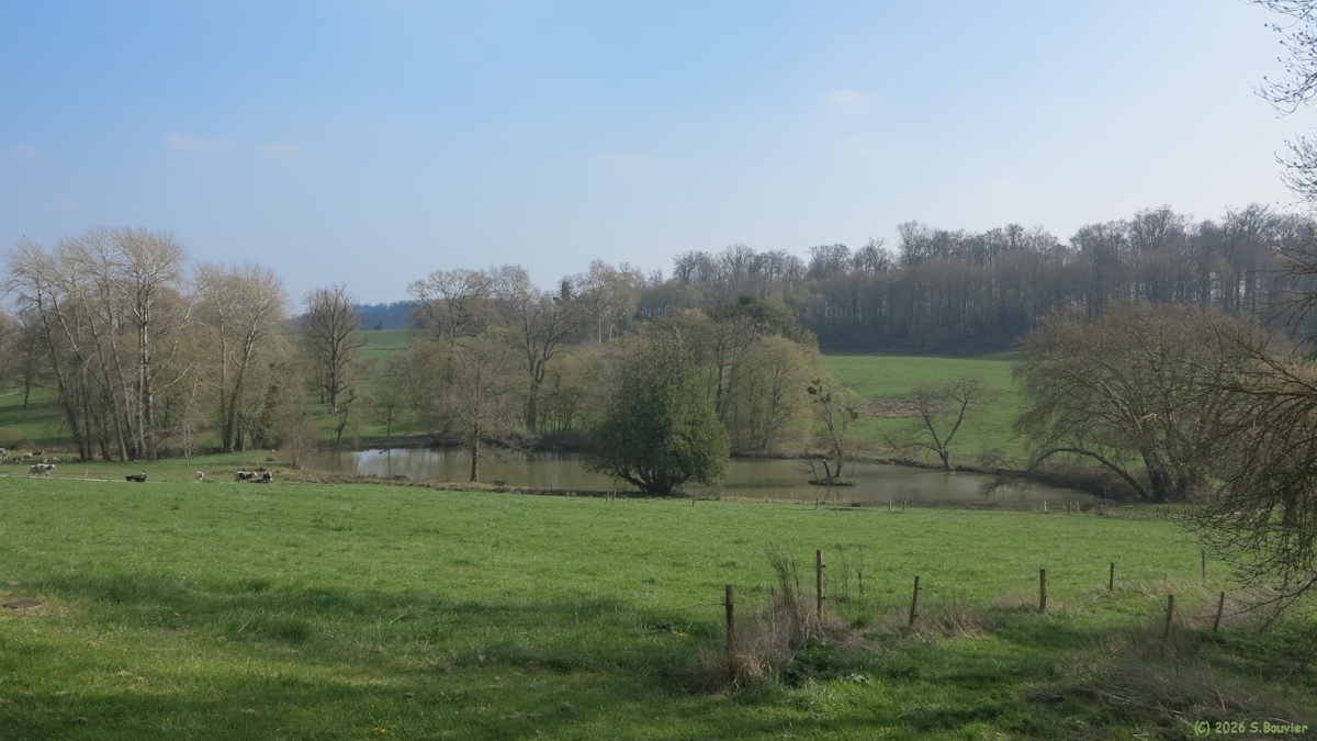 Brémontier Merval (Etang)