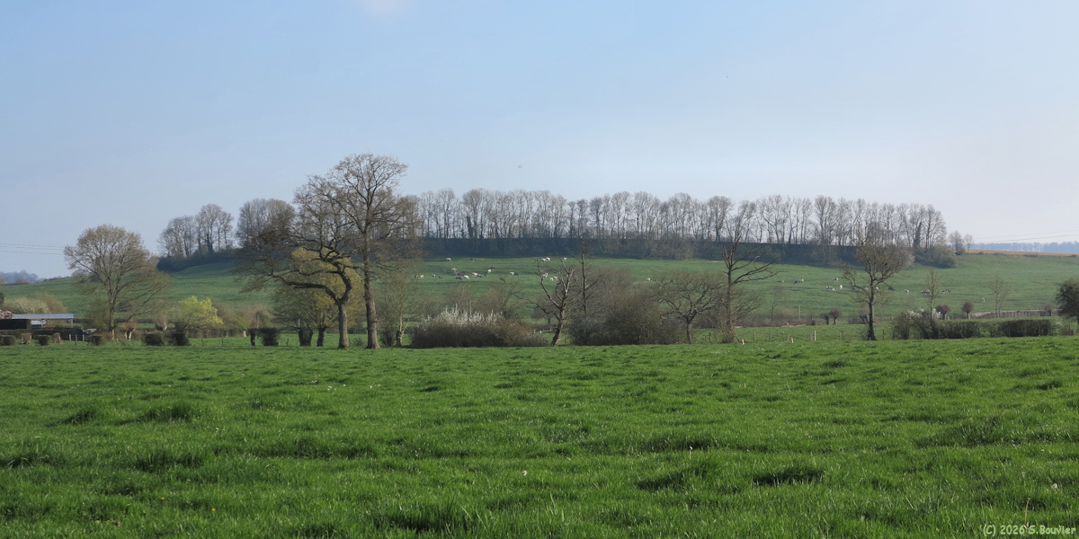 Mésangueville (Colline)