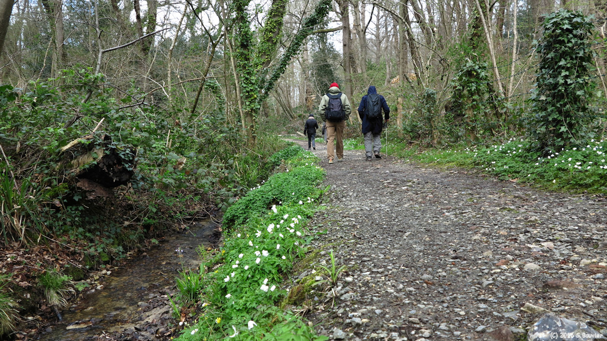 Varengeville sur Mer (Chemin)