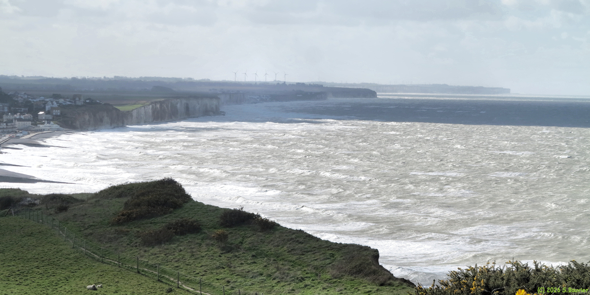 Sainte Marguerite sur Mer (Côte 1)