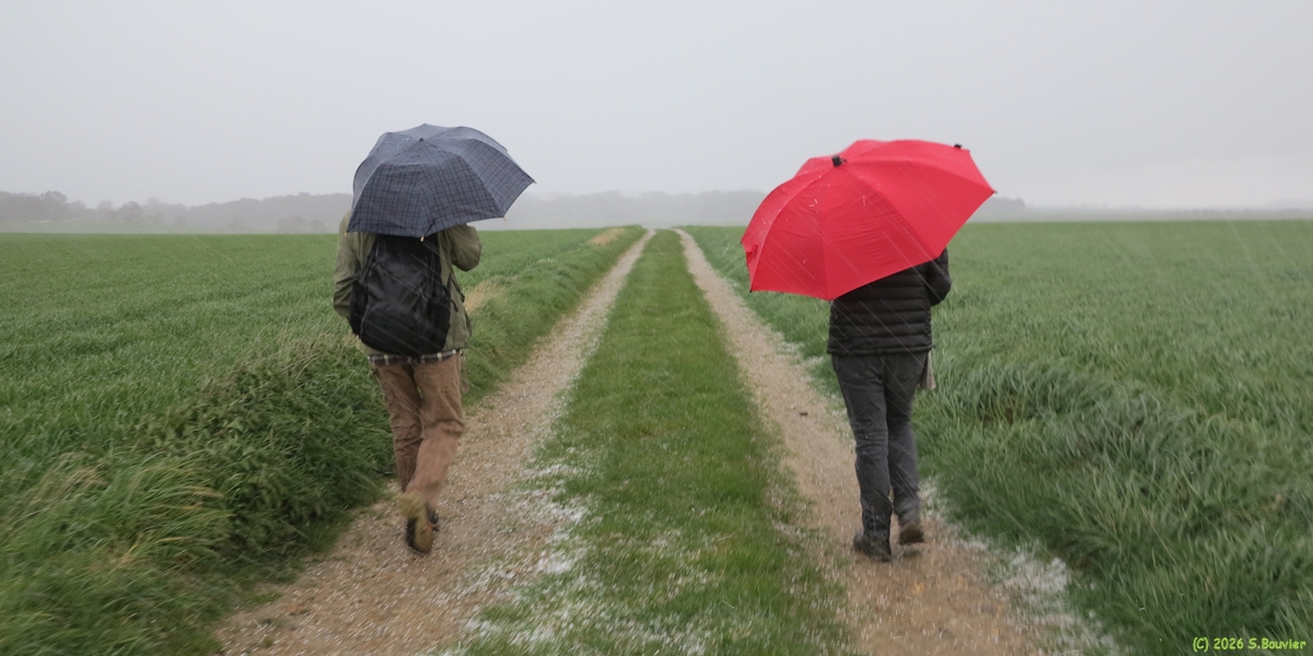 Sainte Marguerite sur Mer (Grêle)