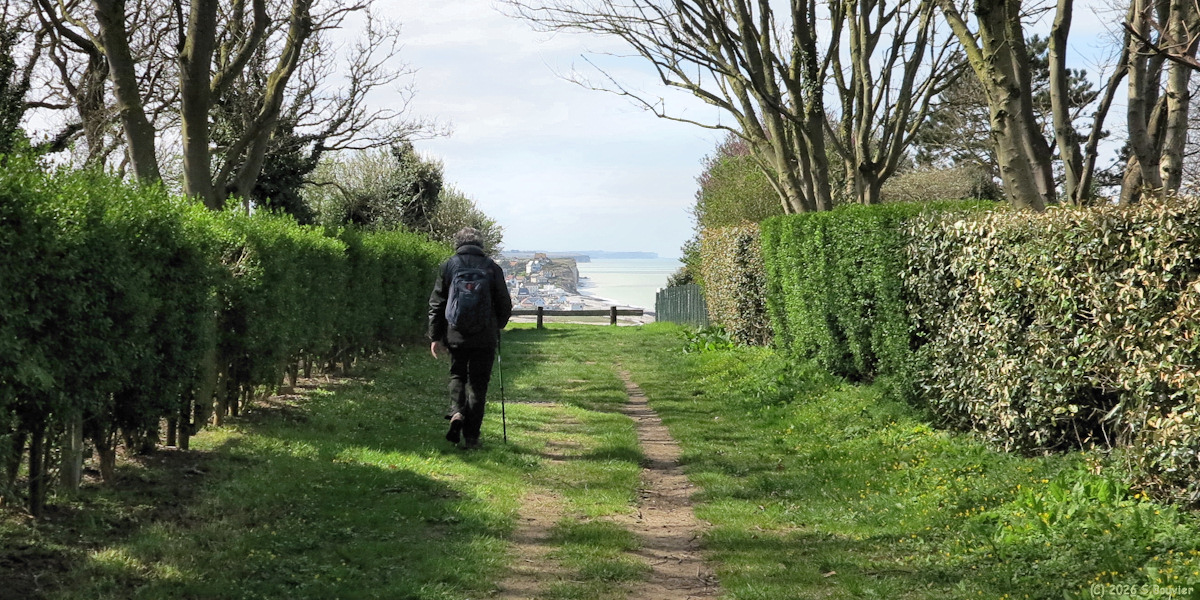 Sainte Marguerite sur Mer (Chemin, Vue 1)