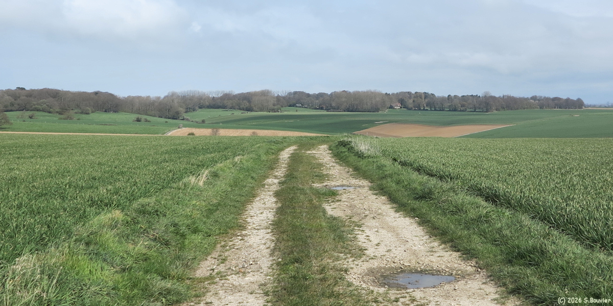 Sainte Marguerite sur Mer (Chemin 1)