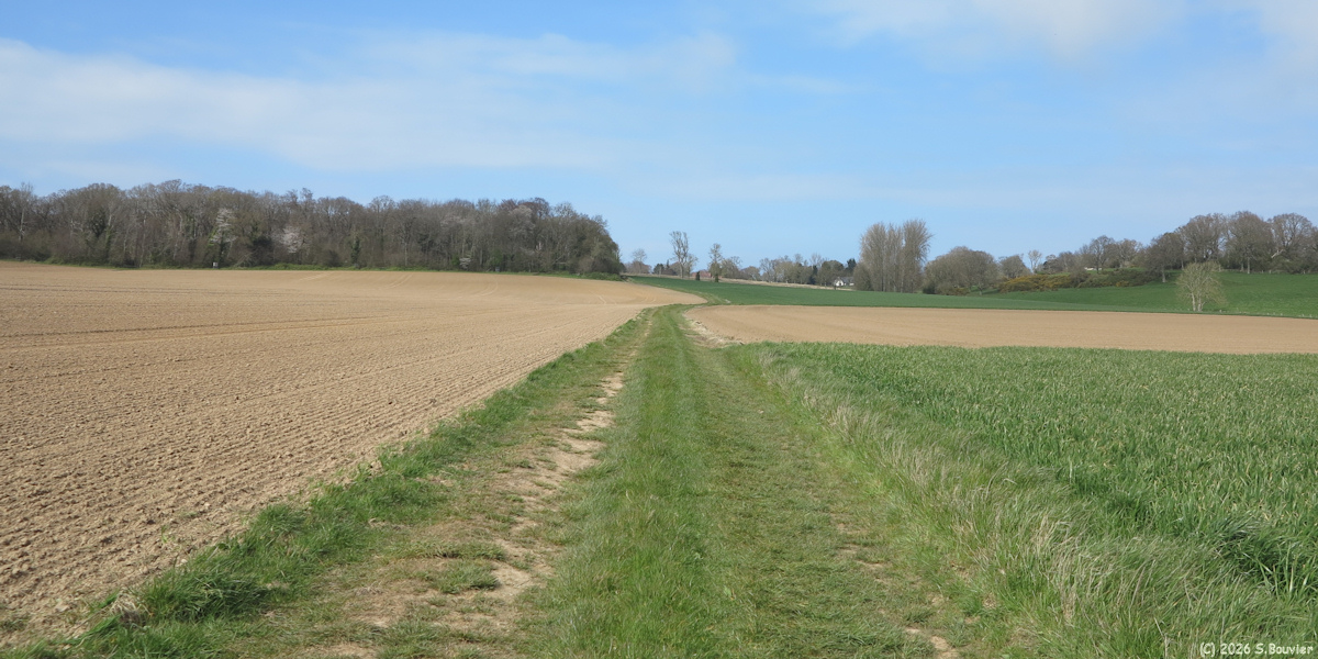Sainte Marguerite sur Mer (Chemin 2)