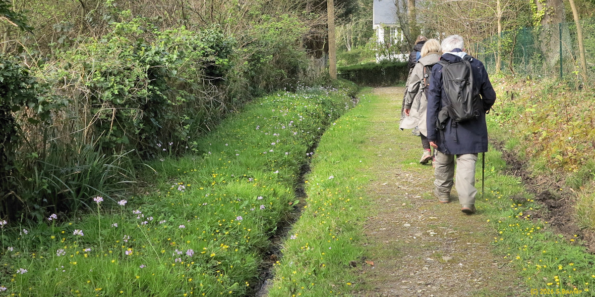 Sainte Marguerite sur Mer (Chemin 3)