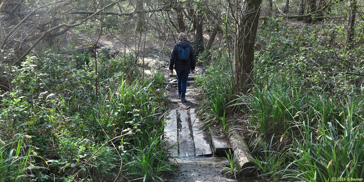 Sainte Marguerite sur Mer (Sentier)