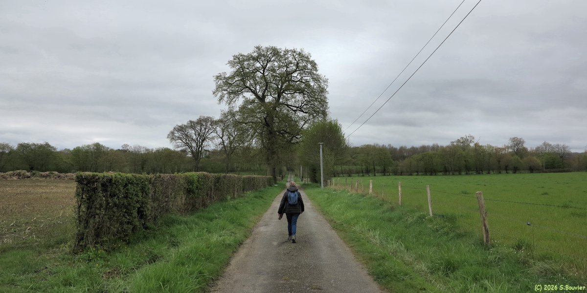 Brémontier Merval (Chemin)