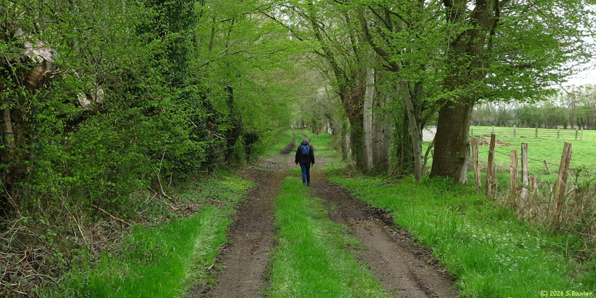 Elbeuf en Bray (Chemin)