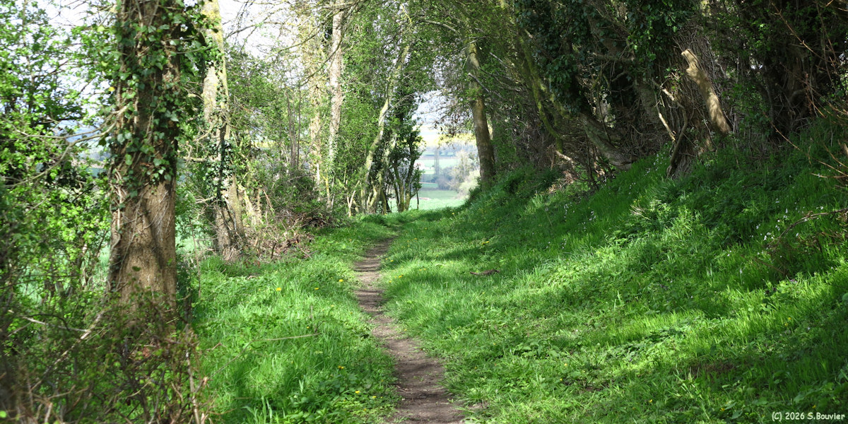 Cuy Saint Fiacre (Chemin)