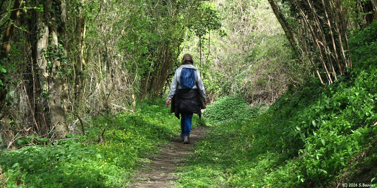 Dampierre en Bray (Chemin)
