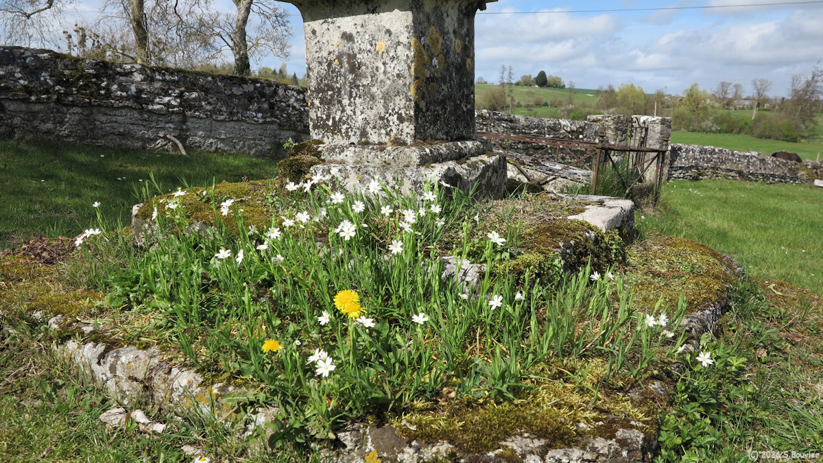 Dampierre en Bray (Socle)