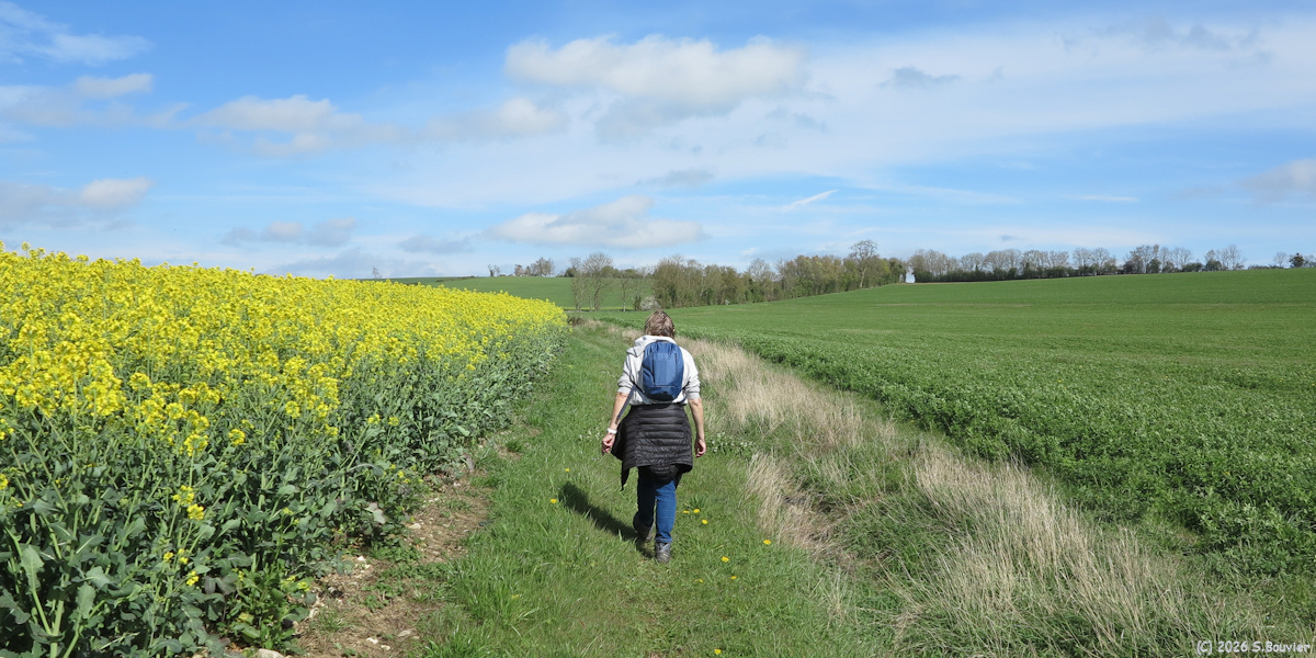 Gancourt Saint Etienne (Chemin)