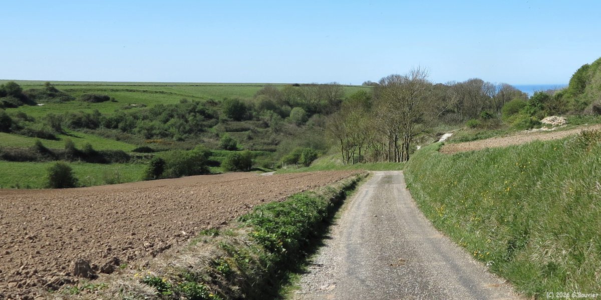 Berneval le Grand (Val)