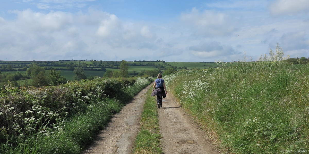 Wambez (Chemin)
