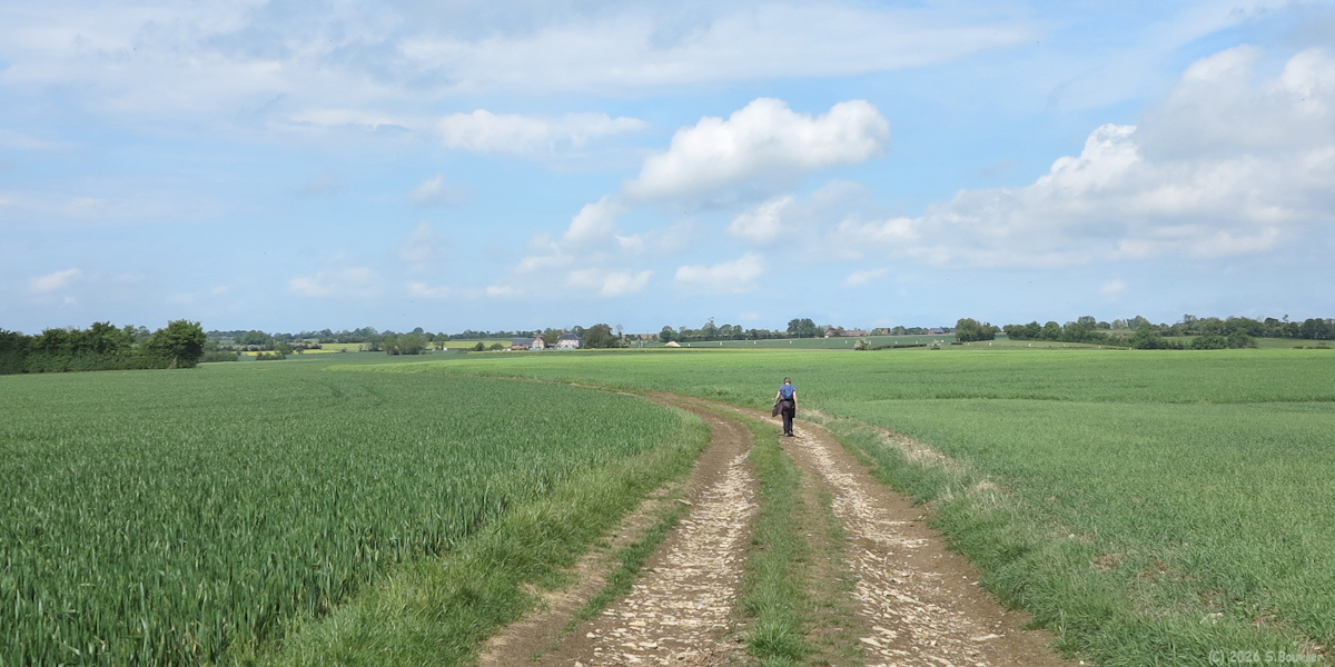 Hannaches (Chemin)
