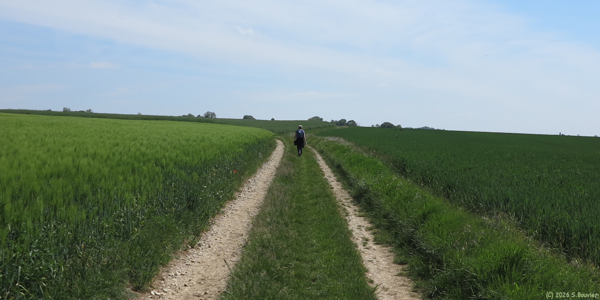 Senantes (Chemin 2)