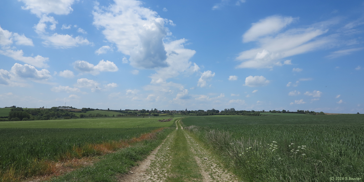 Villembray (Chemin)