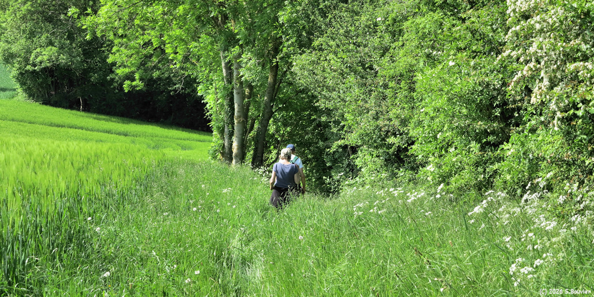 Hannaches (Chemin 1)