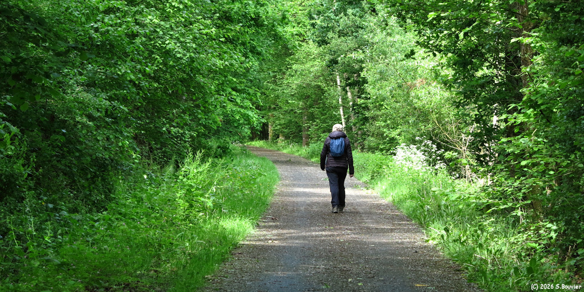 Blacourt (Avenue Verte 1)