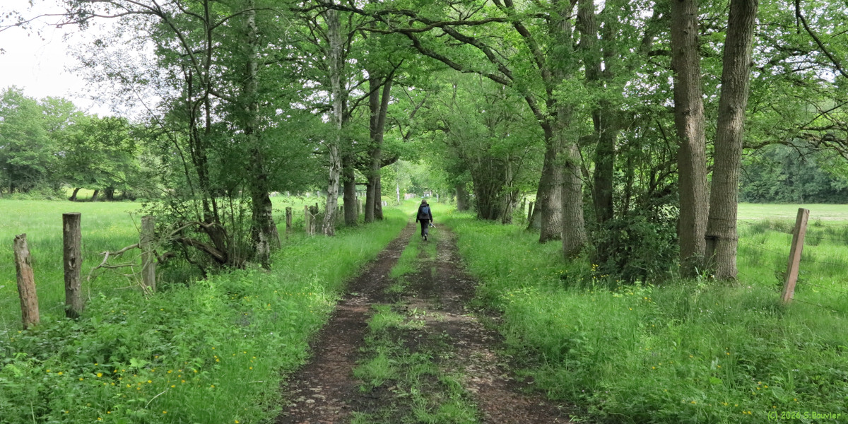 Blacourt (Chemin)