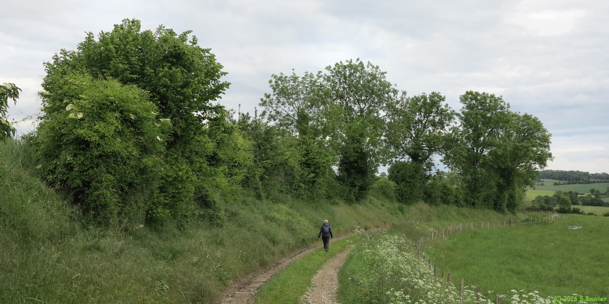 Senantes (Chemin)