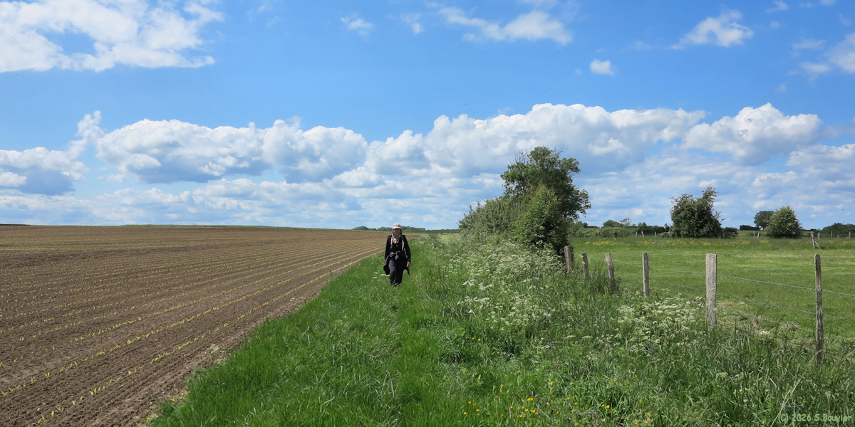Glatigny (Chemin)