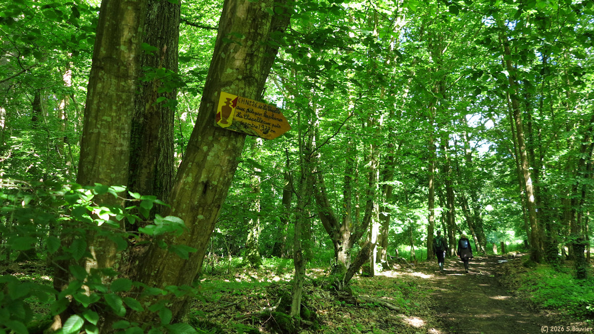 Lachapelle aux Pots (Chemin)
