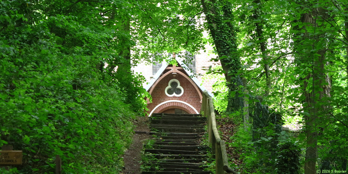 Bois de Cise (Chemin 1)