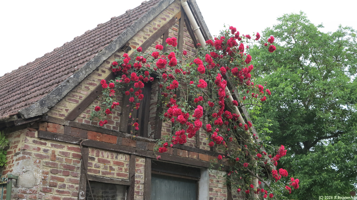 Hodenc en Bray (Roses)