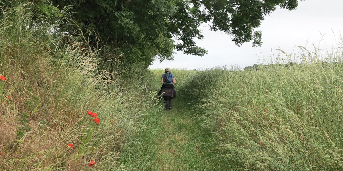 Hodenc en Bray (Chemin 1)