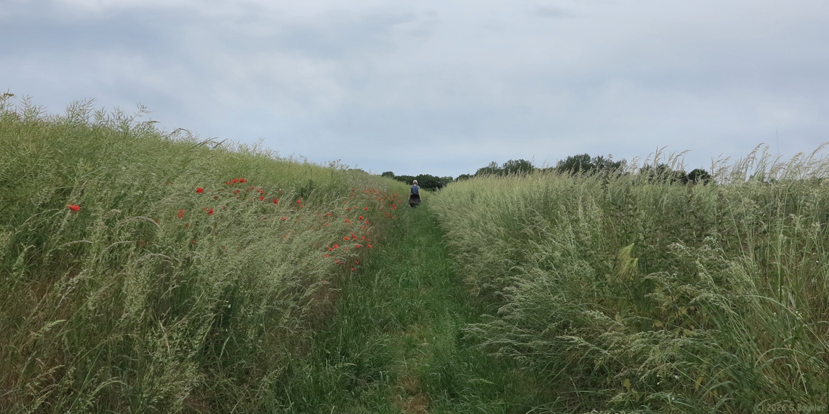 Hodenc en Bray (Chemin 2)