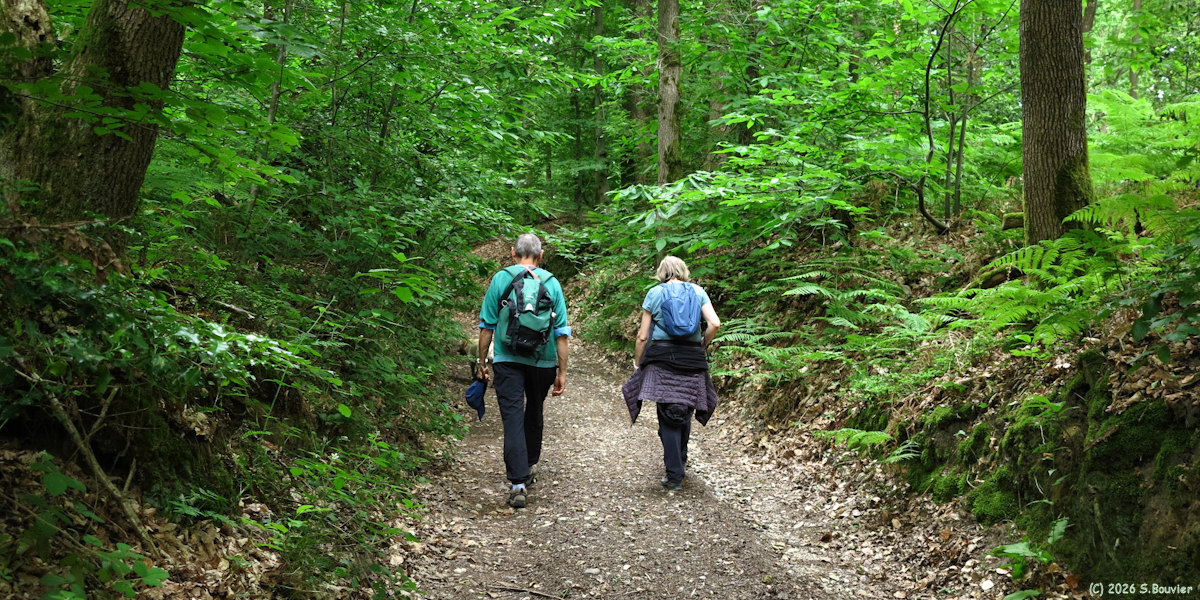 Savignies (Chemin 1)