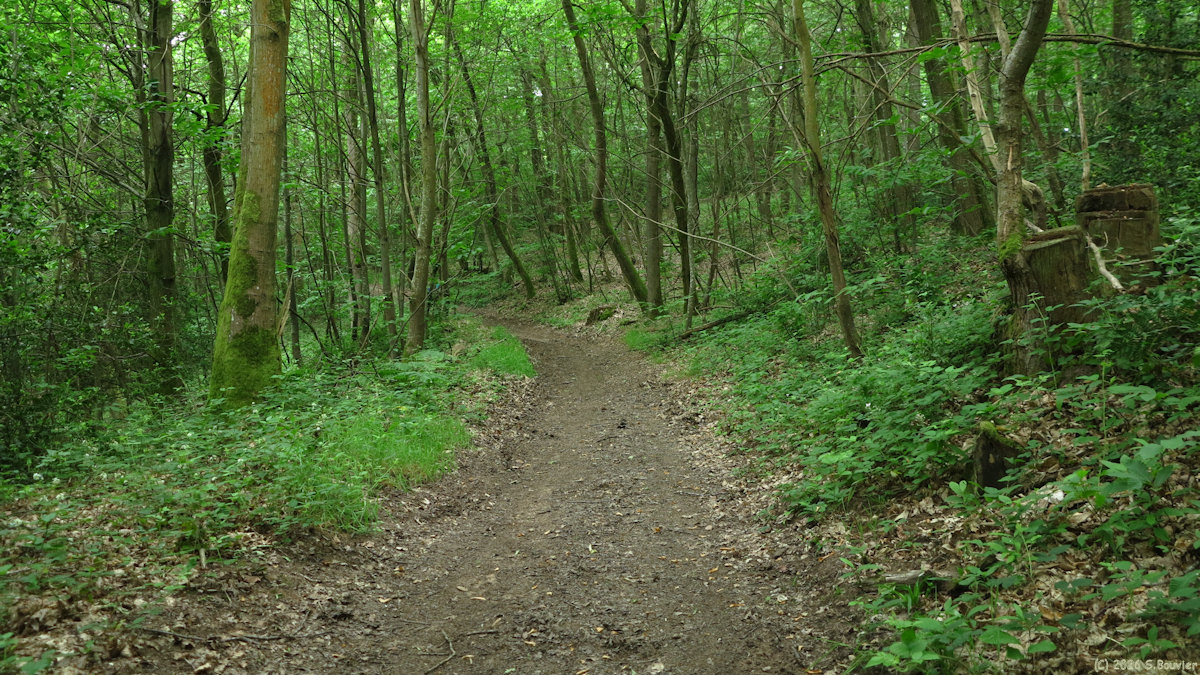 Savignies (Chemin 2)