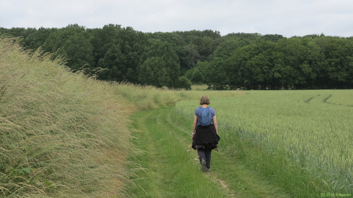 Saint Paul (Chemin 1)