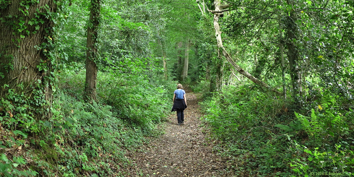 Saint Paul (Chemin 2)