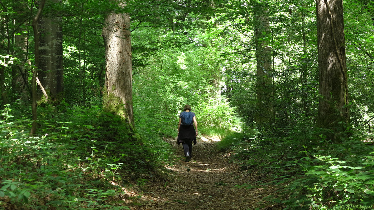 Saint Paul (Chemin 3)