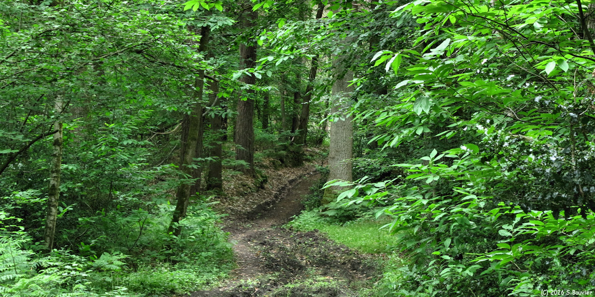 Saint Germain la Poterie (Chemin)