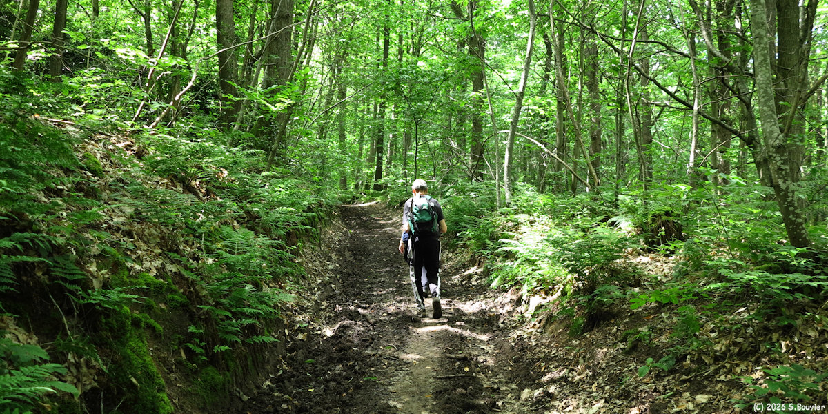 Savignies (Chemin)