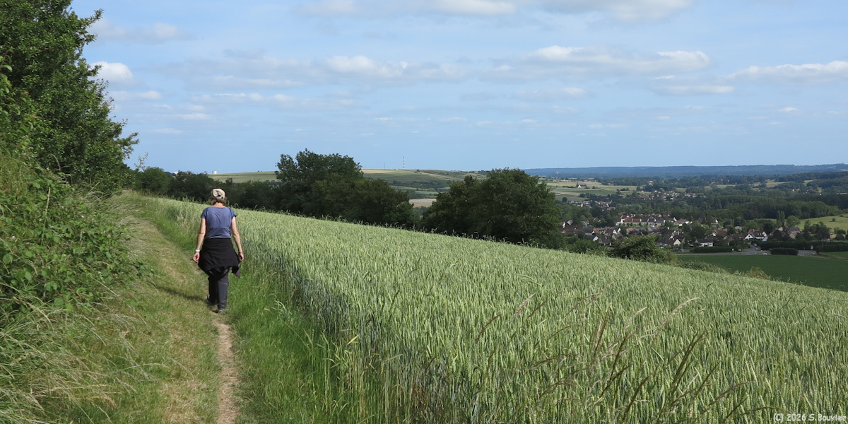 Goincourt (Chemin 1)