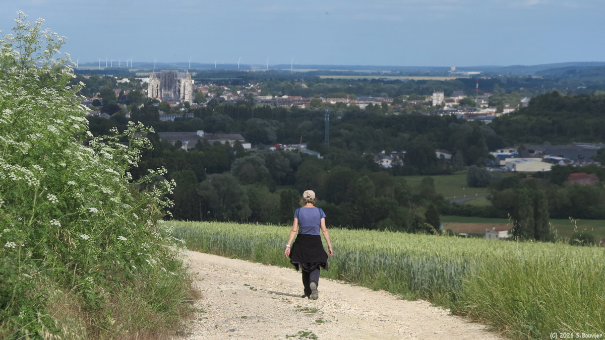 Goincourt (Chemin 2)