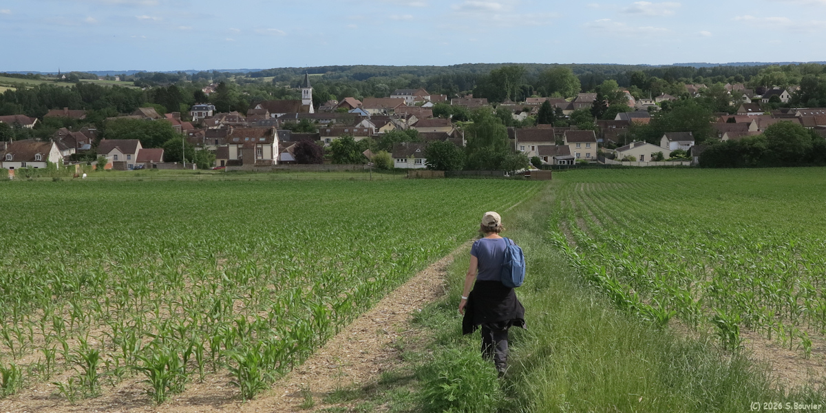 Goincourt (Village 5)