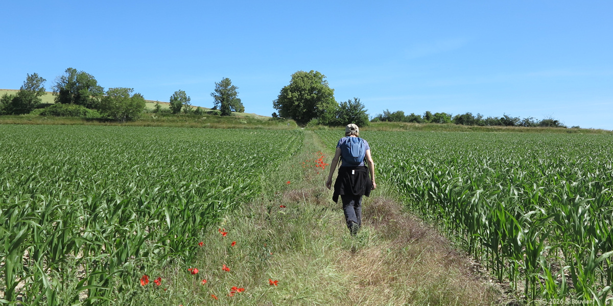 Goincourt (Chemin 1)