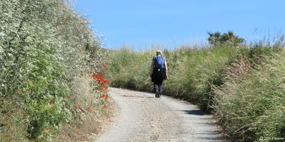 Goincourt (Chemin 2)