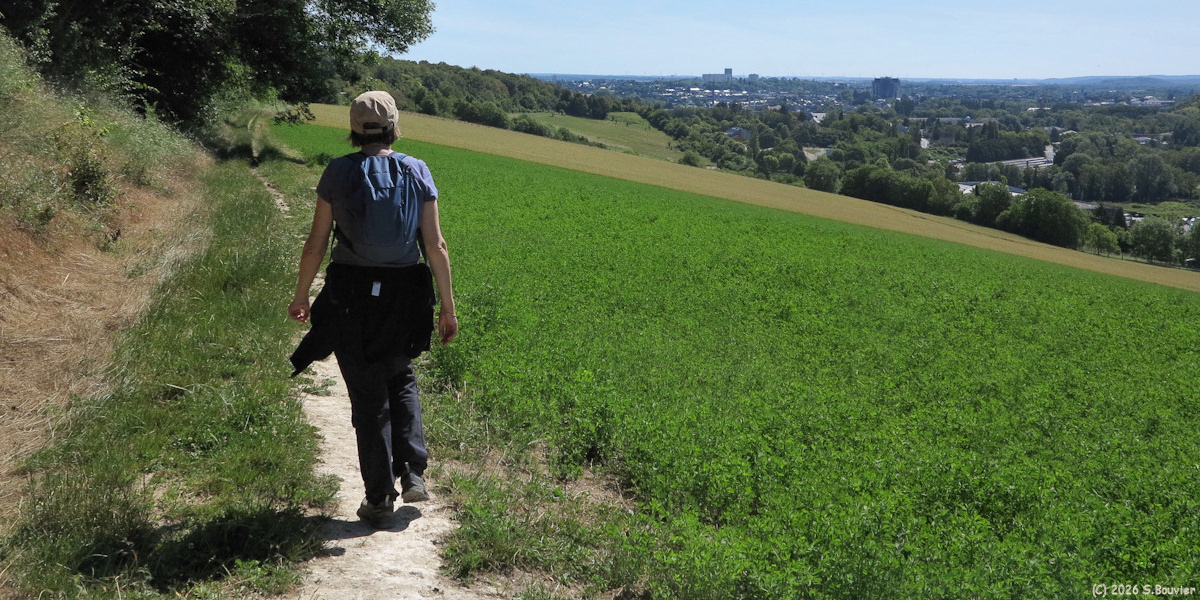 Goincourt (Chemin 4)