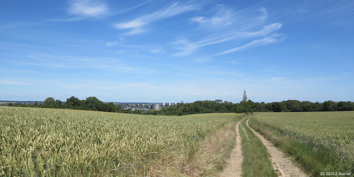 Beauvais (Chemin)