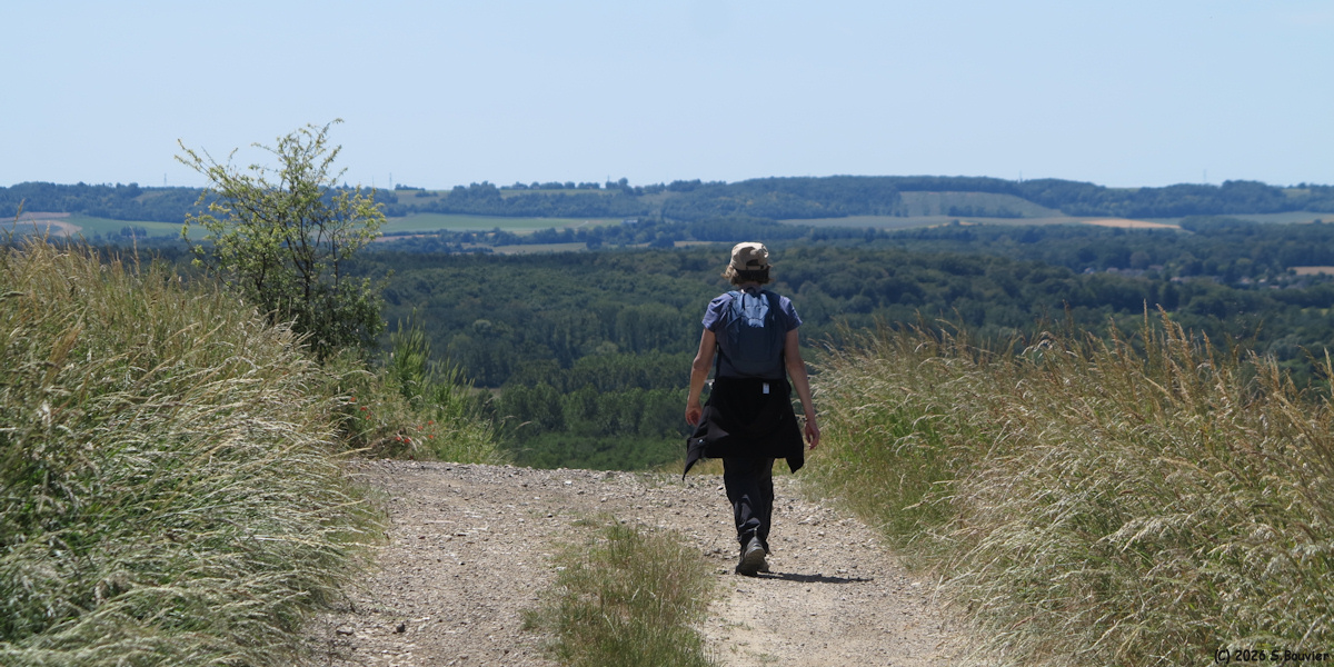 Aux Marais (Chemin 1)