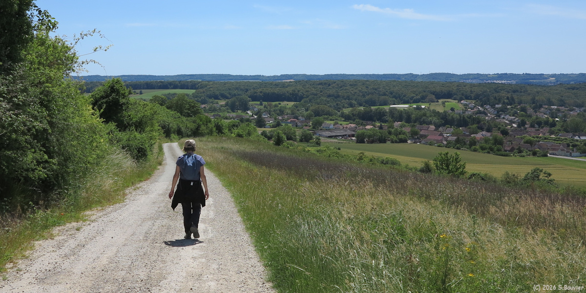 Aux Marais (Chemin 2)